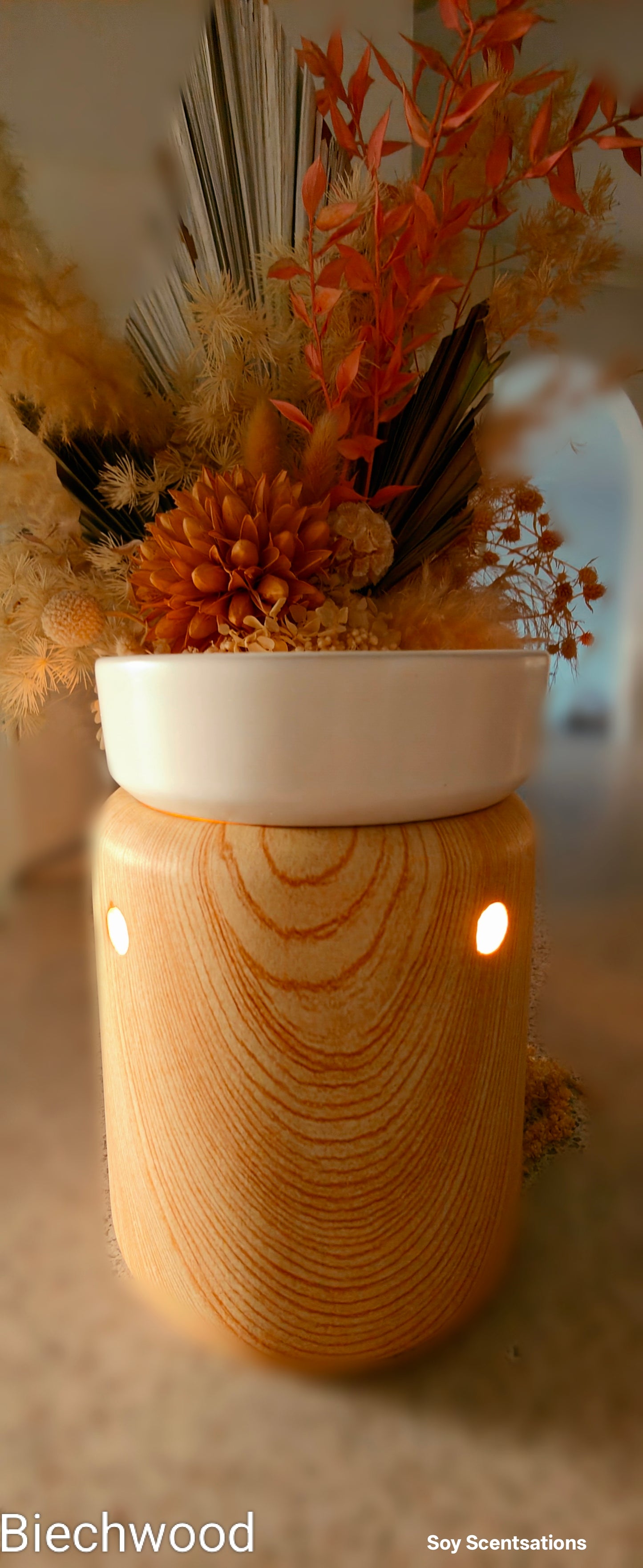 Illumination Wax Warmers