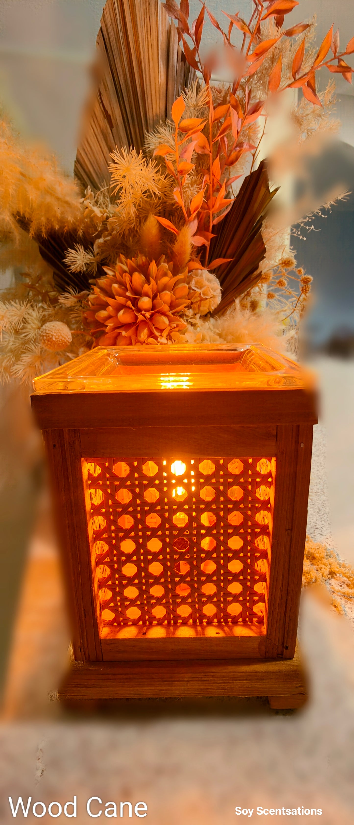 Illumination Wax Warmers